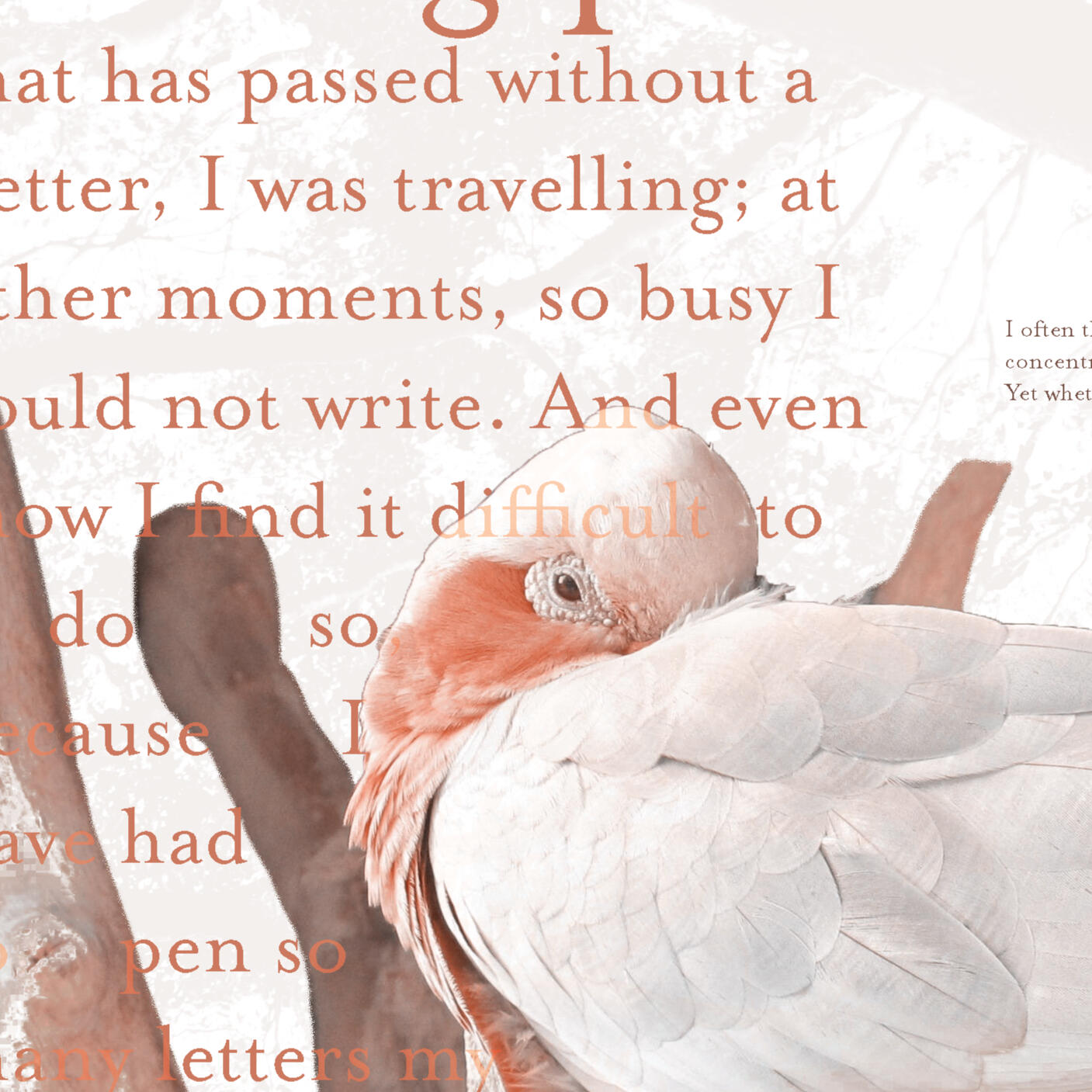 A line drawing of the designer (they're waving at the person on the other side of the screen)